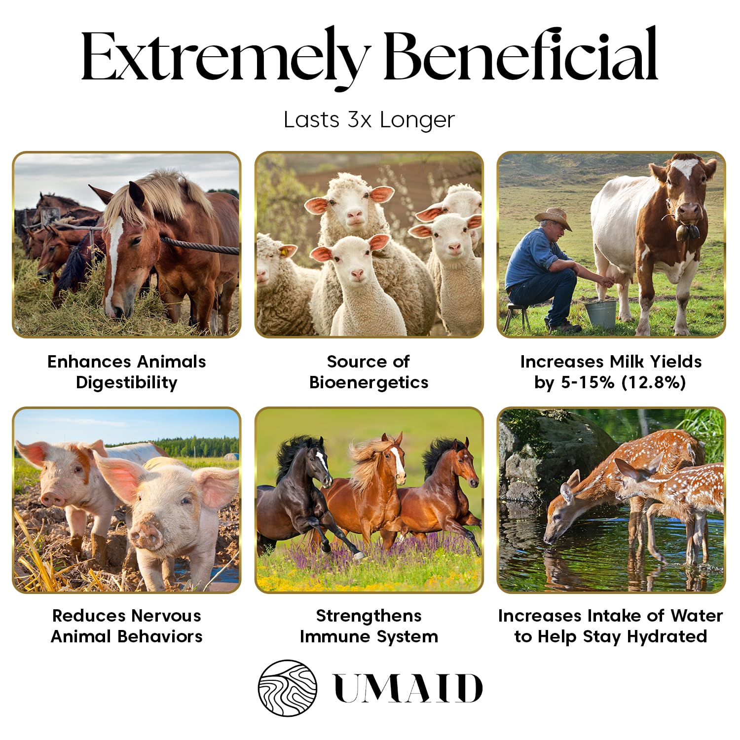 UMAID Sel Himalayen en corde pour chèvre, apporte des minéraux essentiels lors du léchage.
