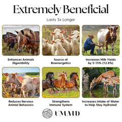 UMAID Sel Himalayen en corde pour chèvre, apporte des minéraux essentiels lors du léchage.