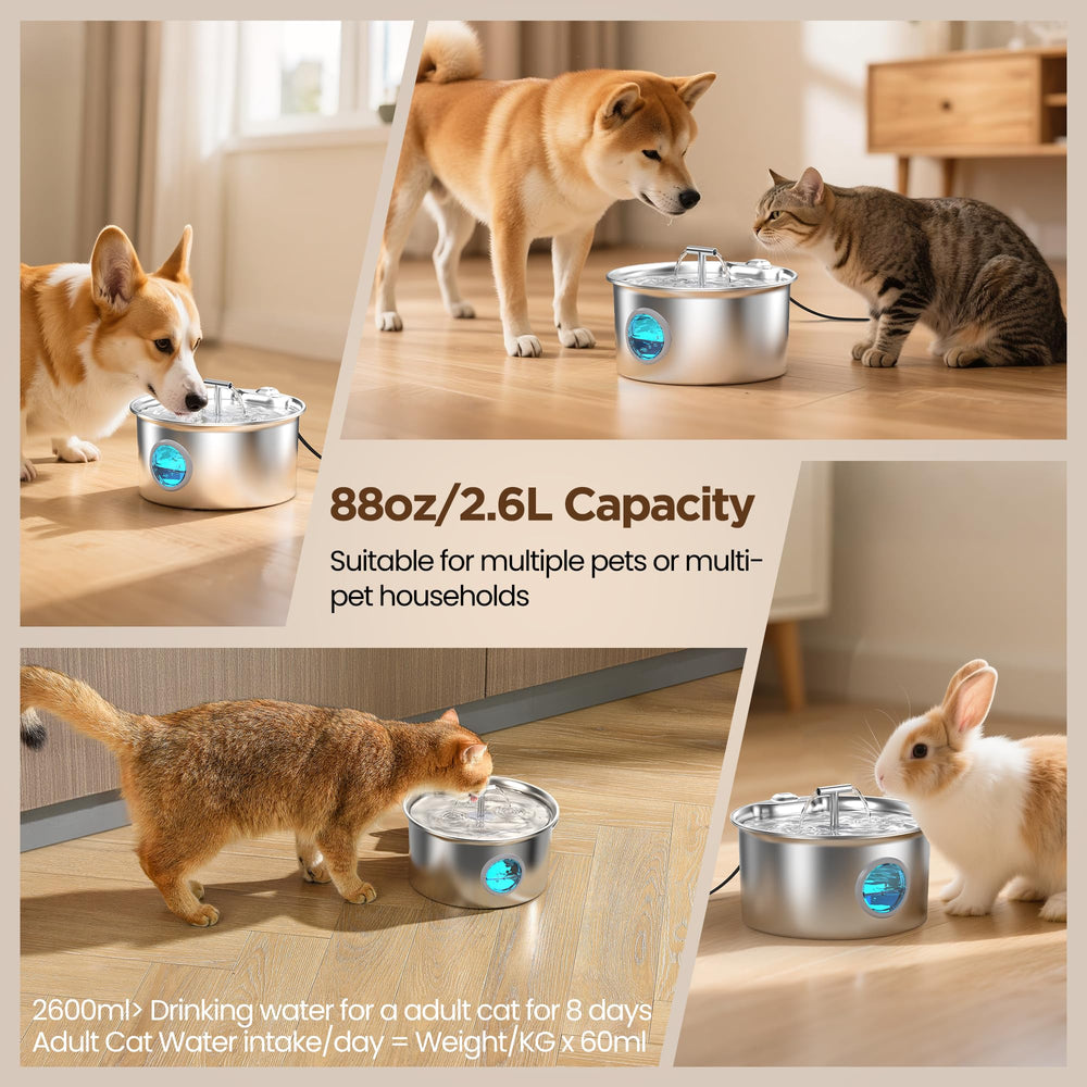 UMOCUOY filtre carbone et éponges 8+8 pour filtration efficace.