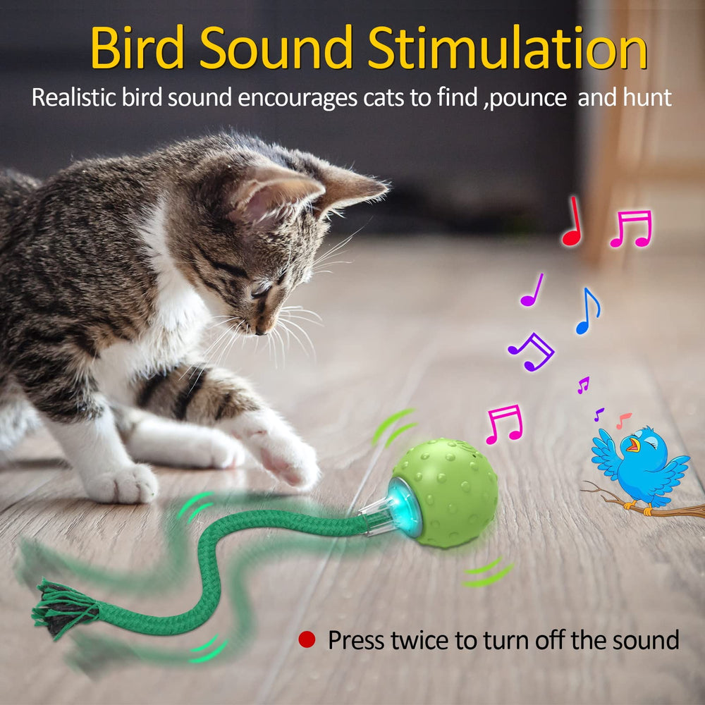 Mode rapide avec lumière bleue pour chats actifs et joueurs.
