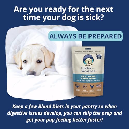 Under the Weather Bland Diet – ajouter de l'eau et réhydrater rapidement.