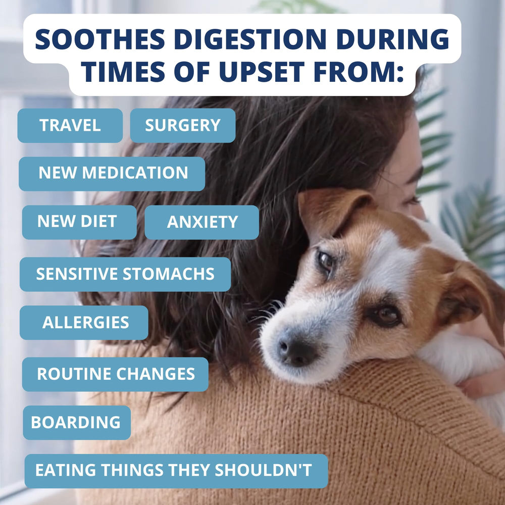 Under the Weather Bland Diet – dosage rapide après ouverture pour chien sensible.