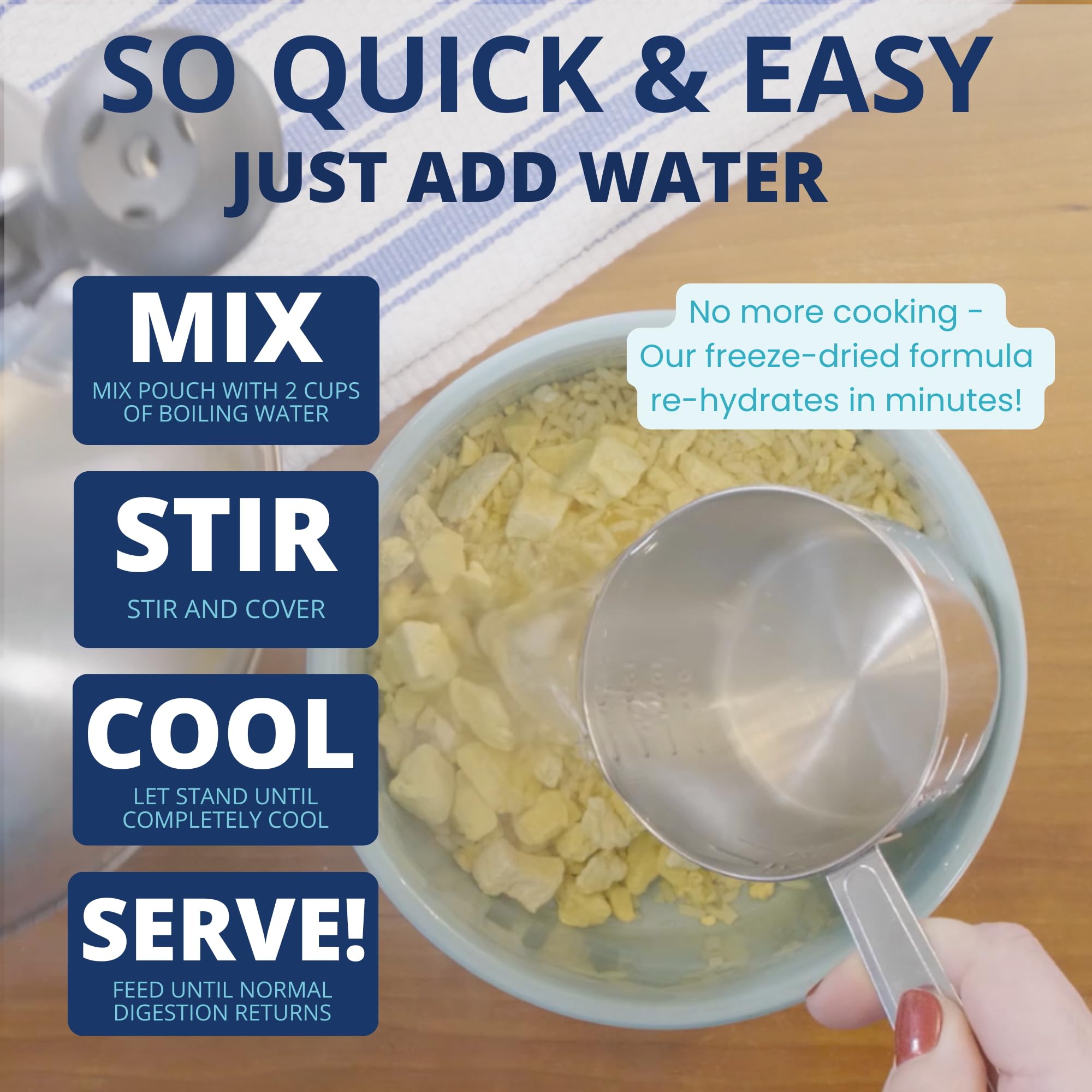 Réhydratation rapide avec Under the Weather Bland Diet pour chien.