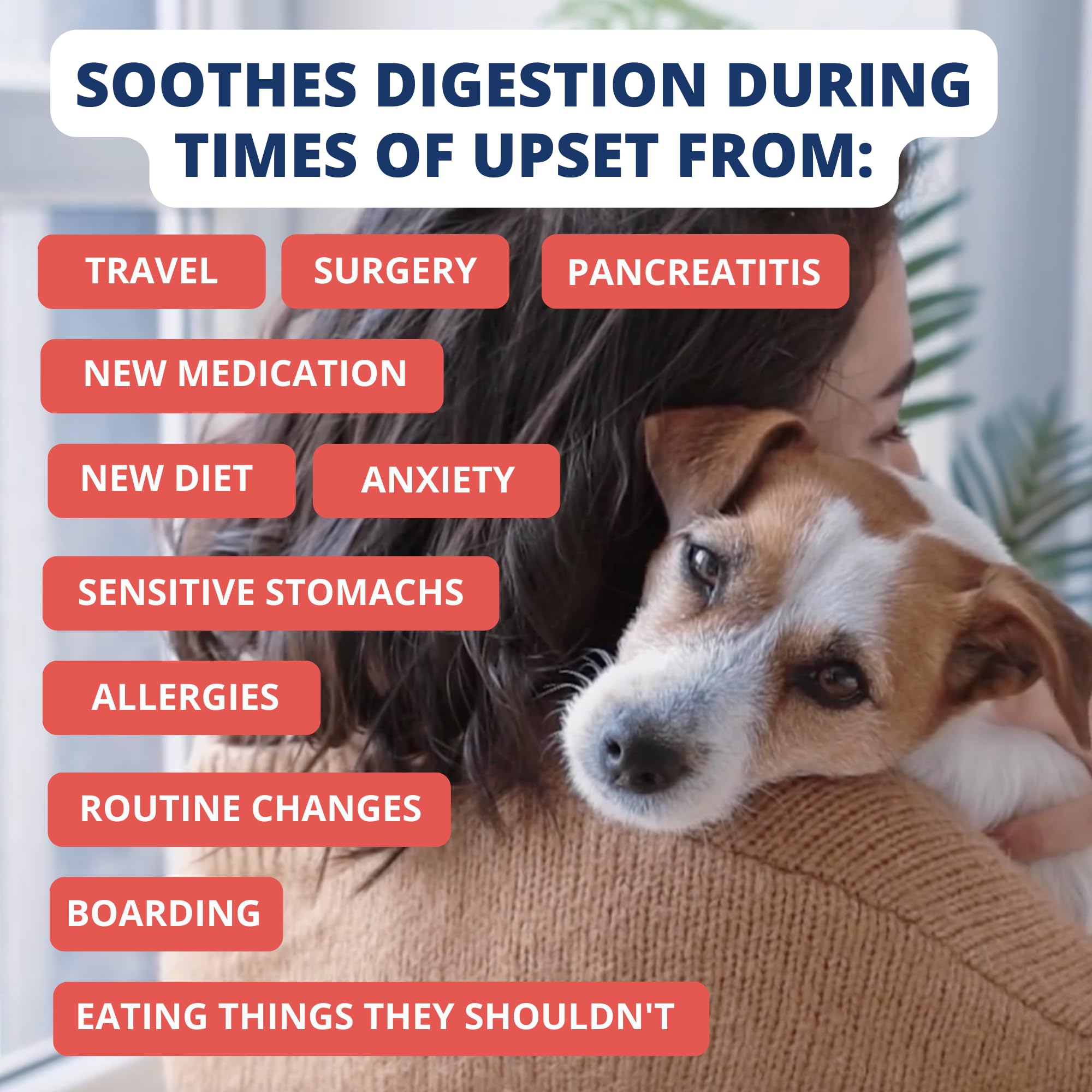 Under the Weather Bland Diet électrolytes pour hydratation et énergie