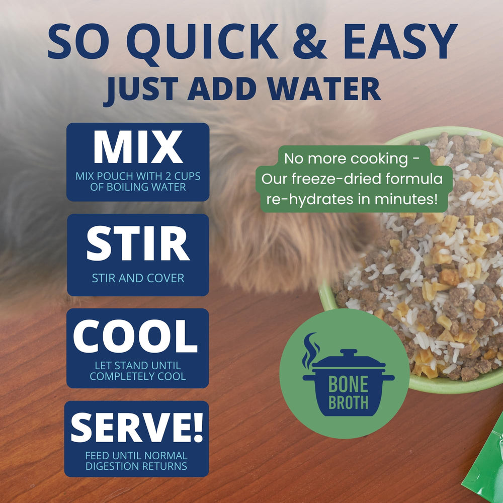 Under the Weather Bland Diet – ingrédients riz et bouillon pour douceur digestive.