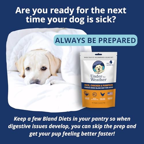 Under the Weather Bland Diet – poulet et riz, alimentation simple pour chien malade.