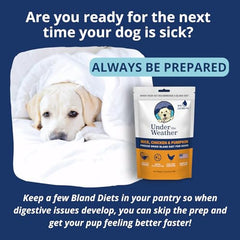 Under the Weather Bland Diet – poulet et riz, alimentation simple pour chien malade.