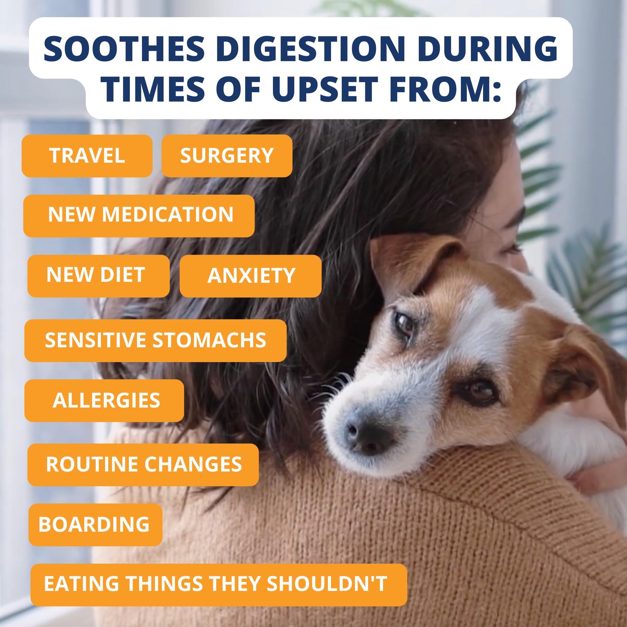Under the Weather Bland Diet – réhydratation rapide en ajoutant l'eau.