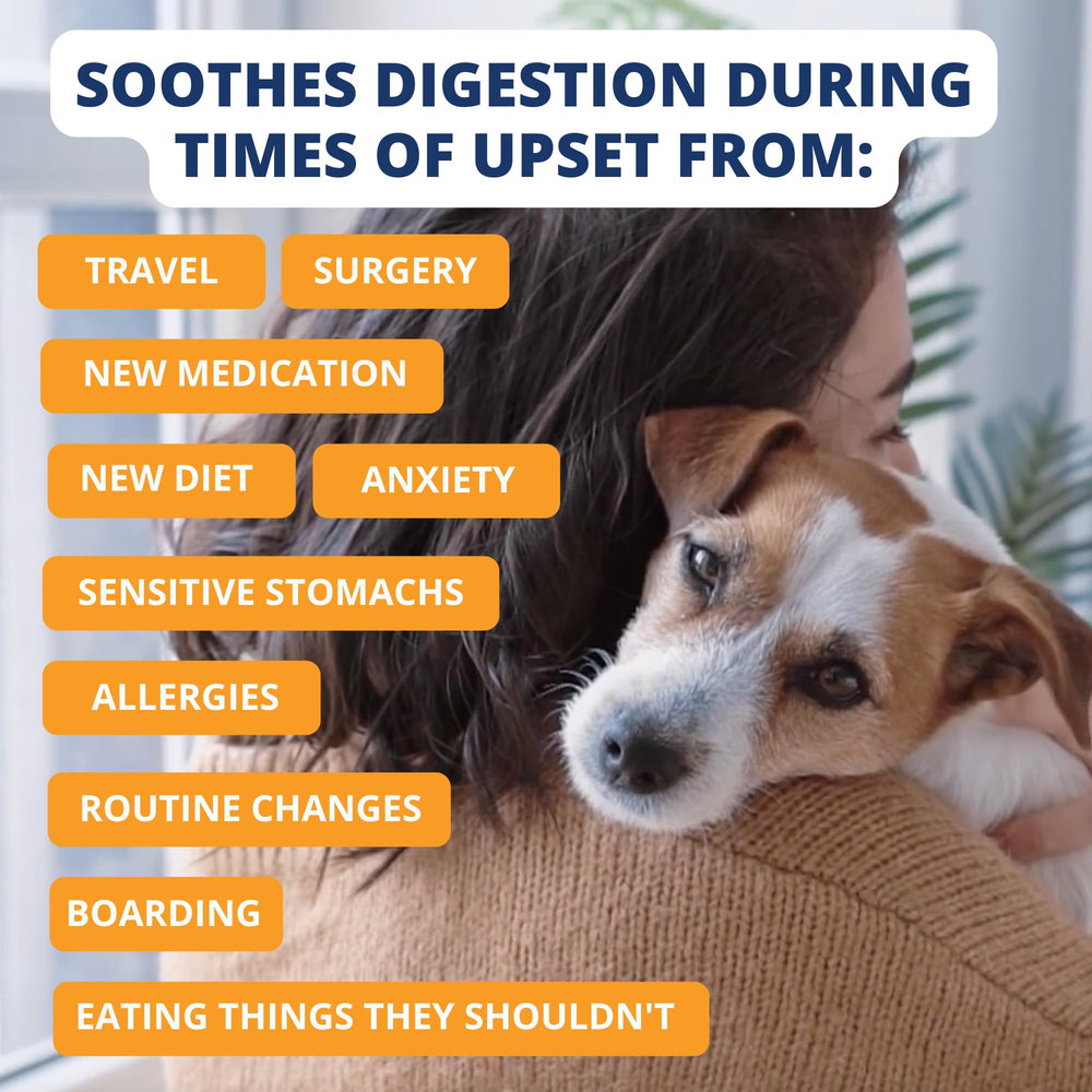 Under the Weather Bland Diet – réhydratation rapide en ajoutant l'eau.
