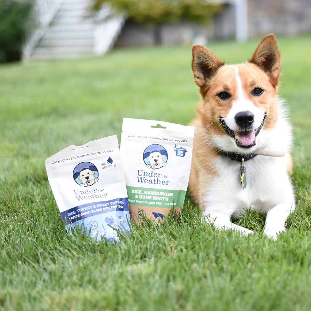 Under the Weather Bland Diet – sachet pratique de 6 oz prêt à l’emploi.