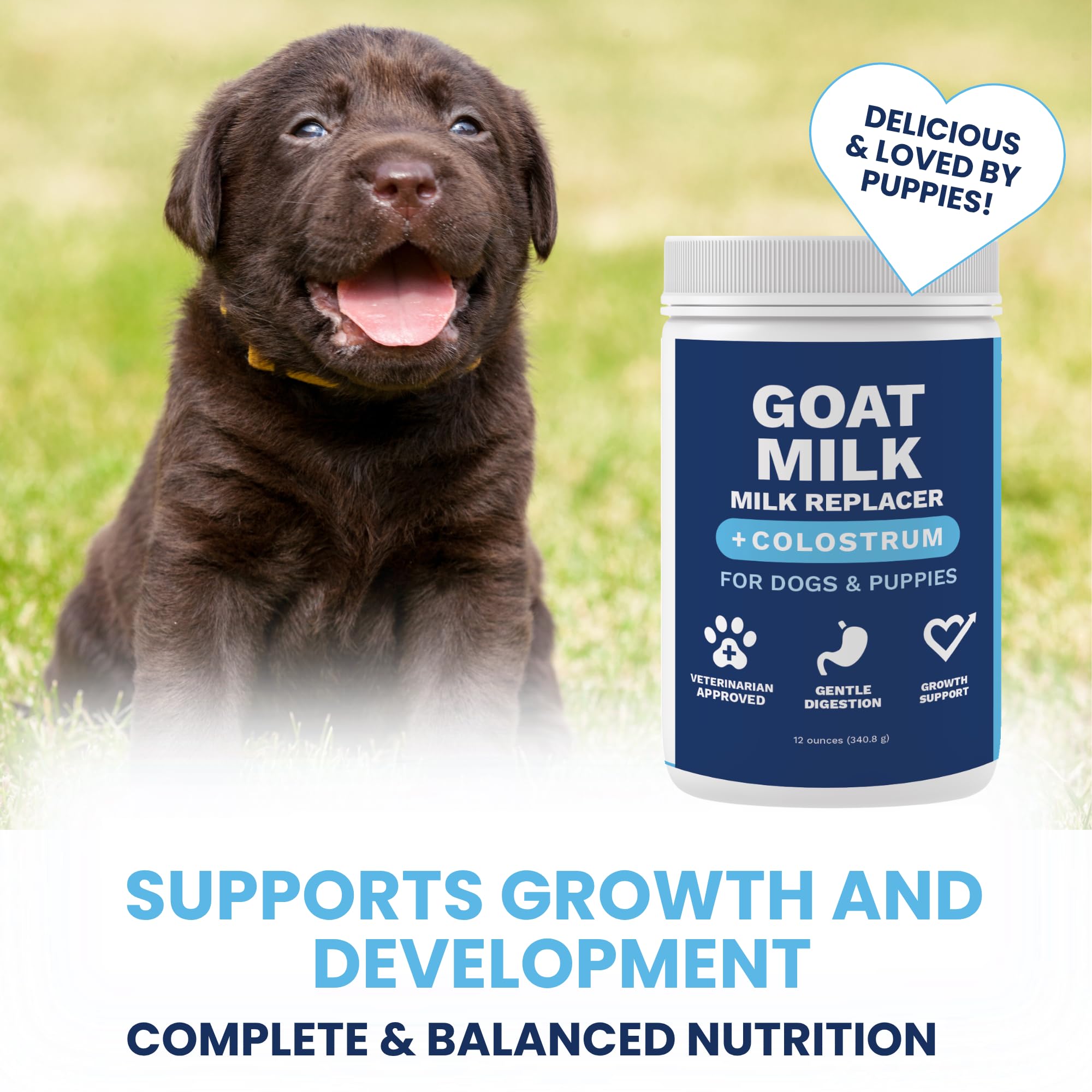 Under the Weather colostrum bovin chiot immunité, flacon illustrant le soutien immunitaire potentiel.