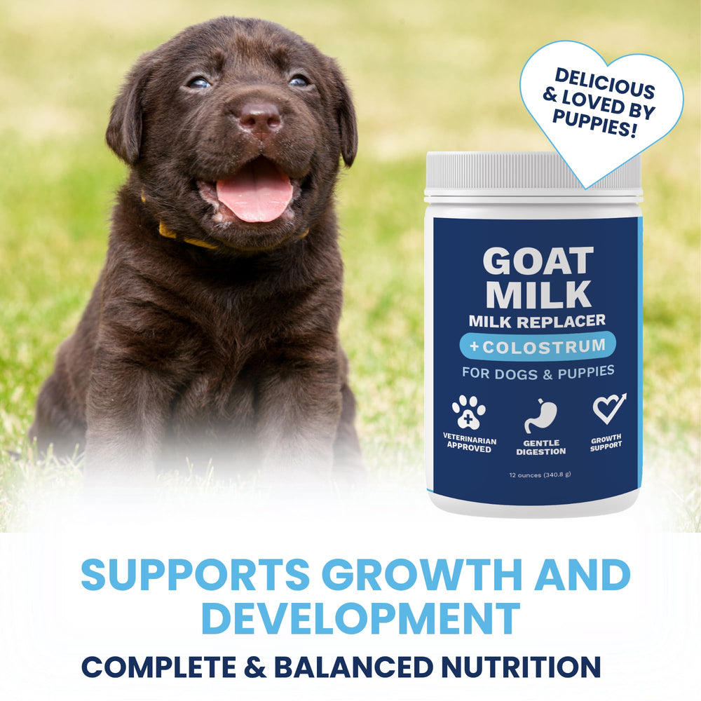 Under the Weather colostrum bovin chiot immunité, flacon illustrant le soutien immunitaire potentiel.
