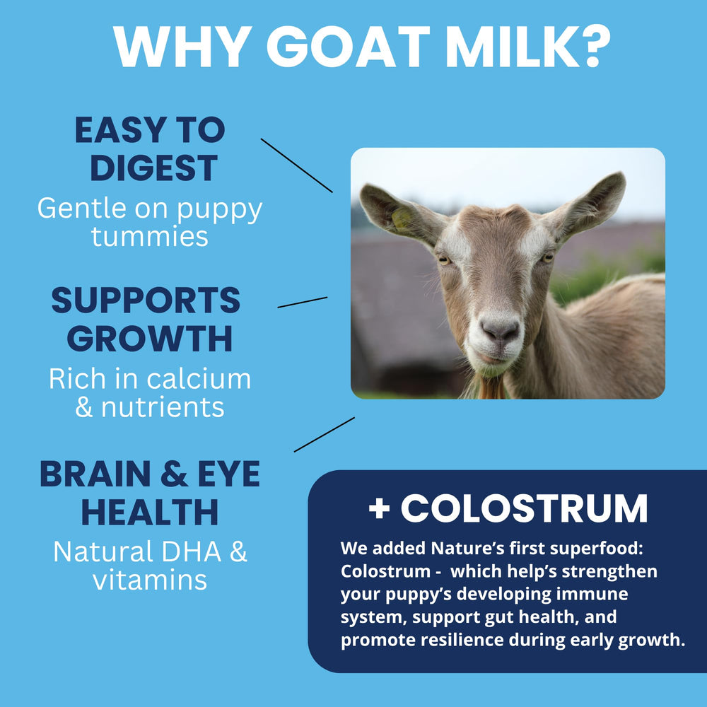 Under the Weather lait-chèvre chiot digestion, texture douce favorisant l’absorption des nutriments.
