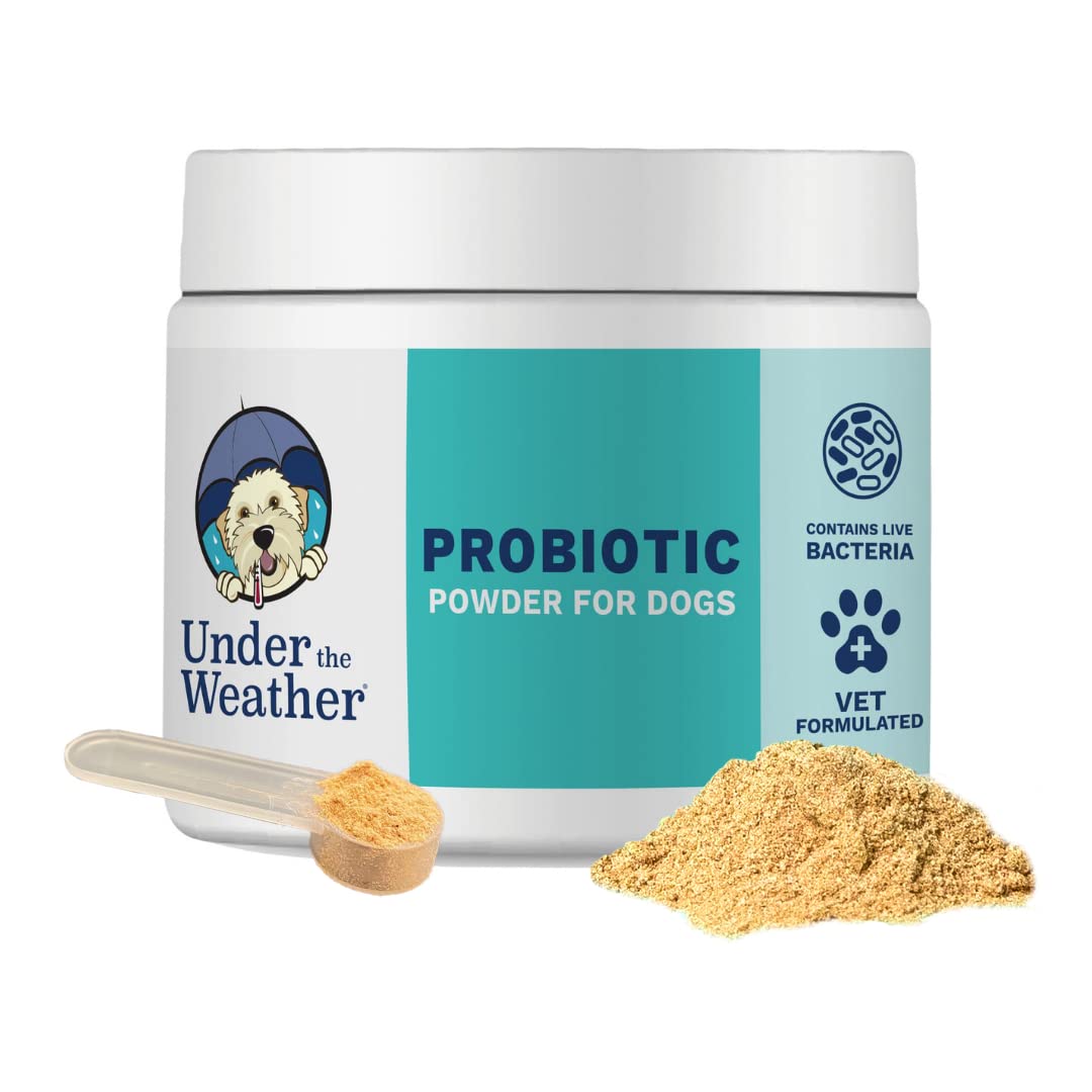 Under the Weather Probiotiques pour chien - bouteille pratique pour digestion normale