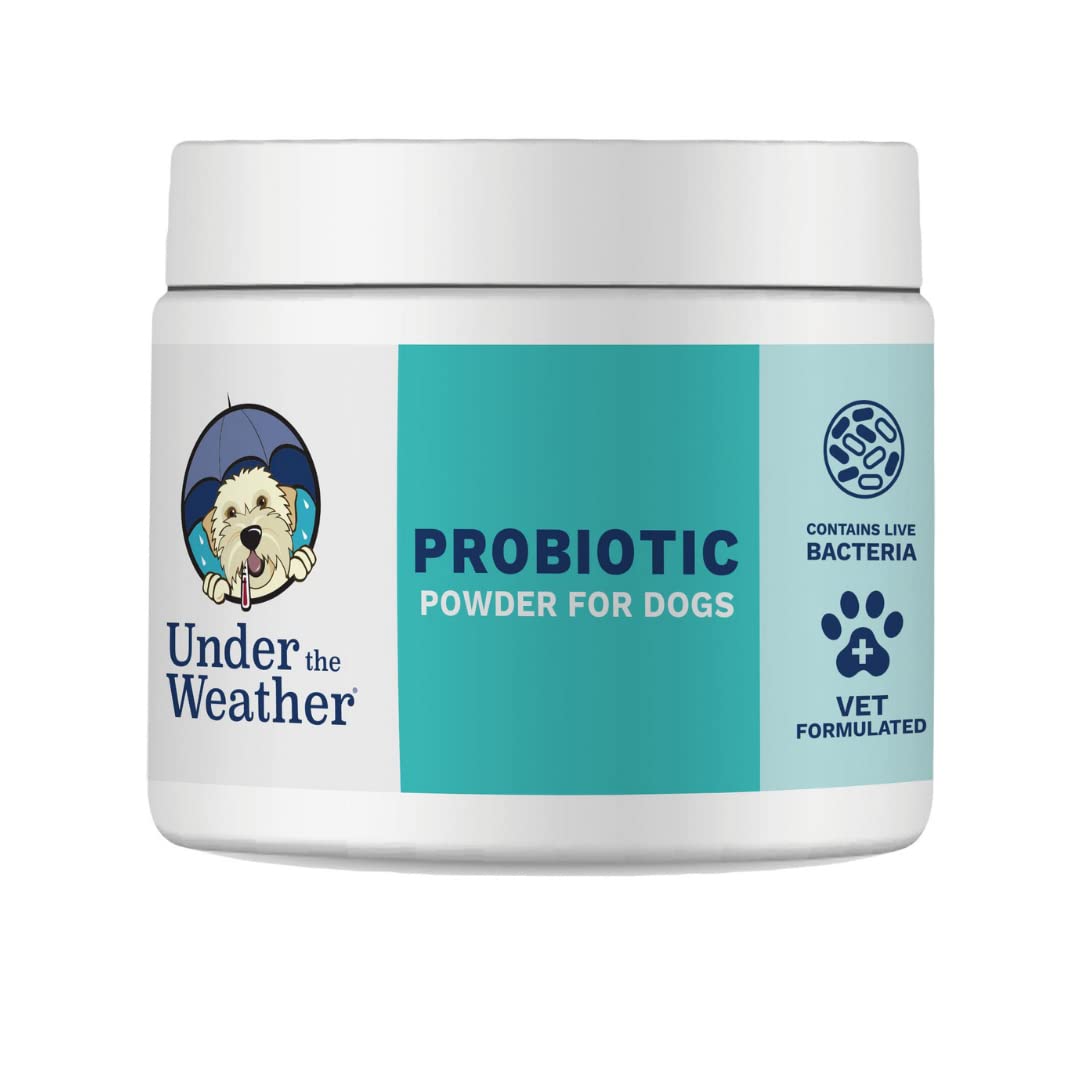 Under the Weather Probiotiques pour chien - soutien immunitaire et digestion lors d activites quotidiennes