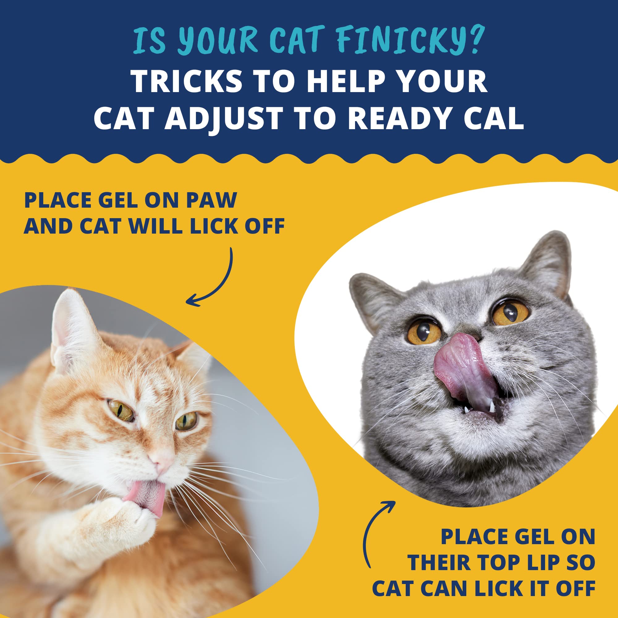 Under The Weather Ready Cal pour chats – étiquette et date d'expiration claires.