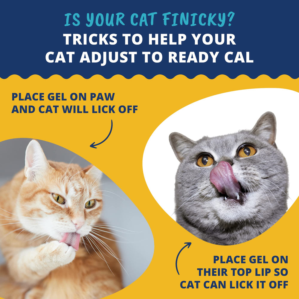 Under The Weather Ready Cal pour chats – étiquette et date d'expiration claires.