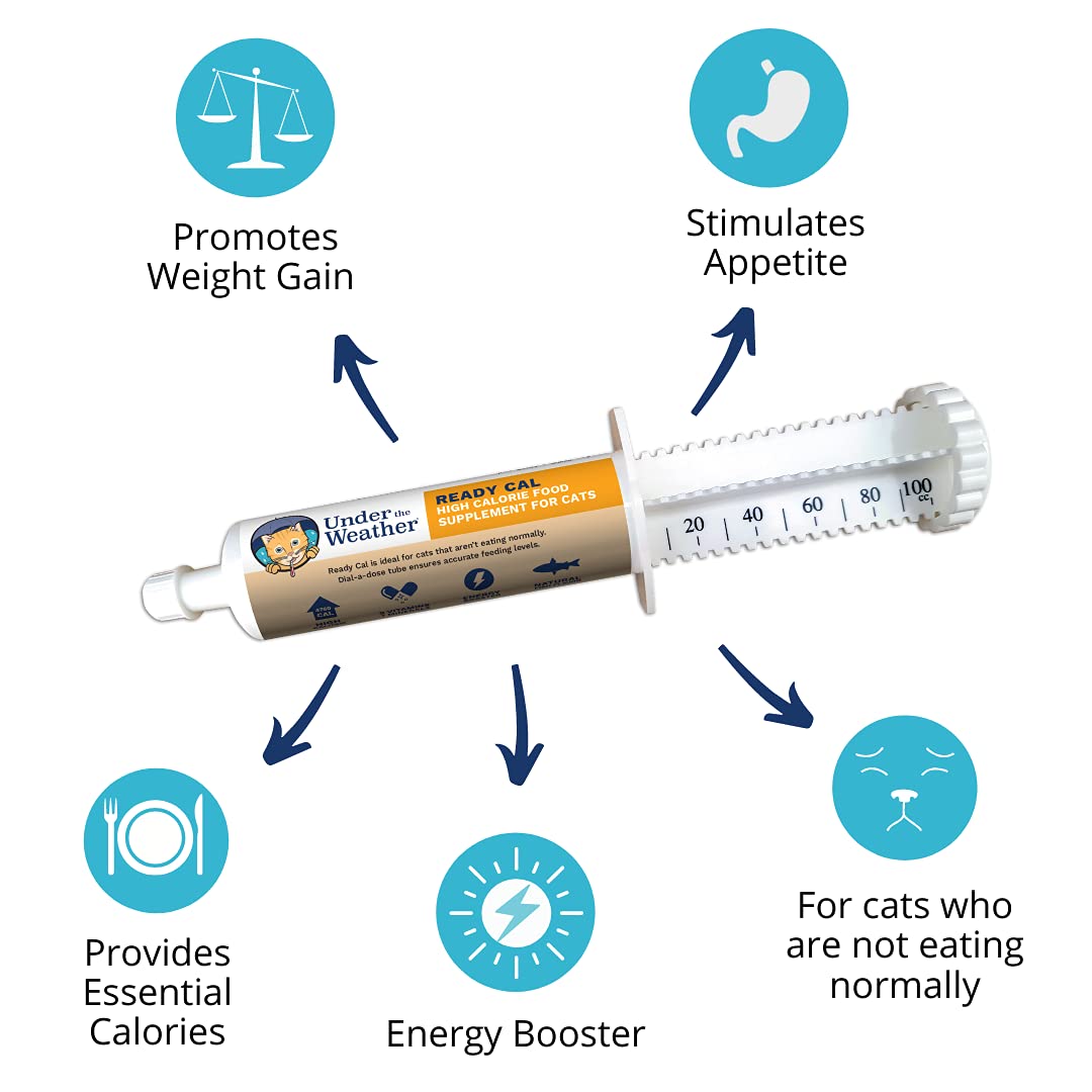 Under The Weather Ready Cal pour chats – vitamines et minéraux pour le soutien nutritionnel.