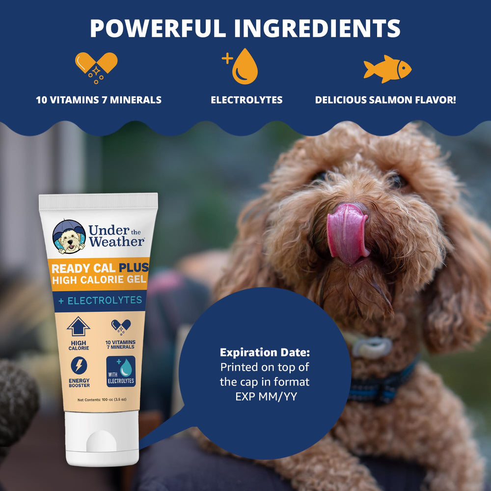 Gel Under the Weather disponible pour lécher sur la patte du chien.