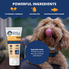 Gel Under the Weather disponible pour lécher sur la patte du chien.