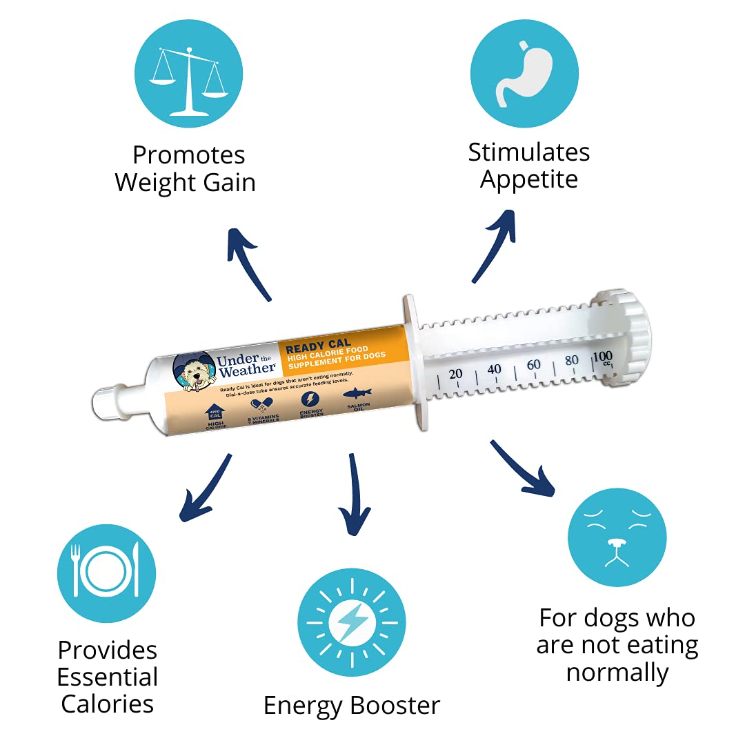Under the Weather ReadyCal – boost d'énergie et nutrition canine.