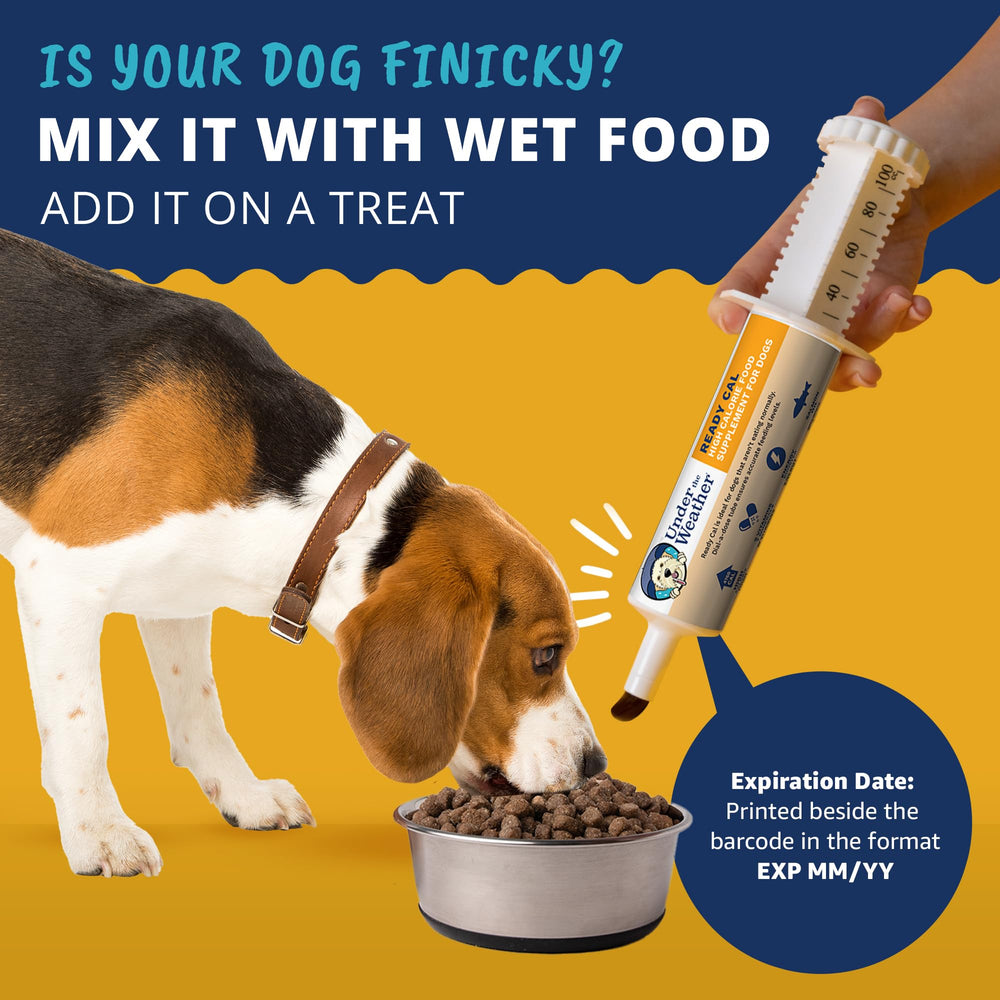 Under the Weather ReadyCal – formulation vétérinaire riche en vitamines et oméga.