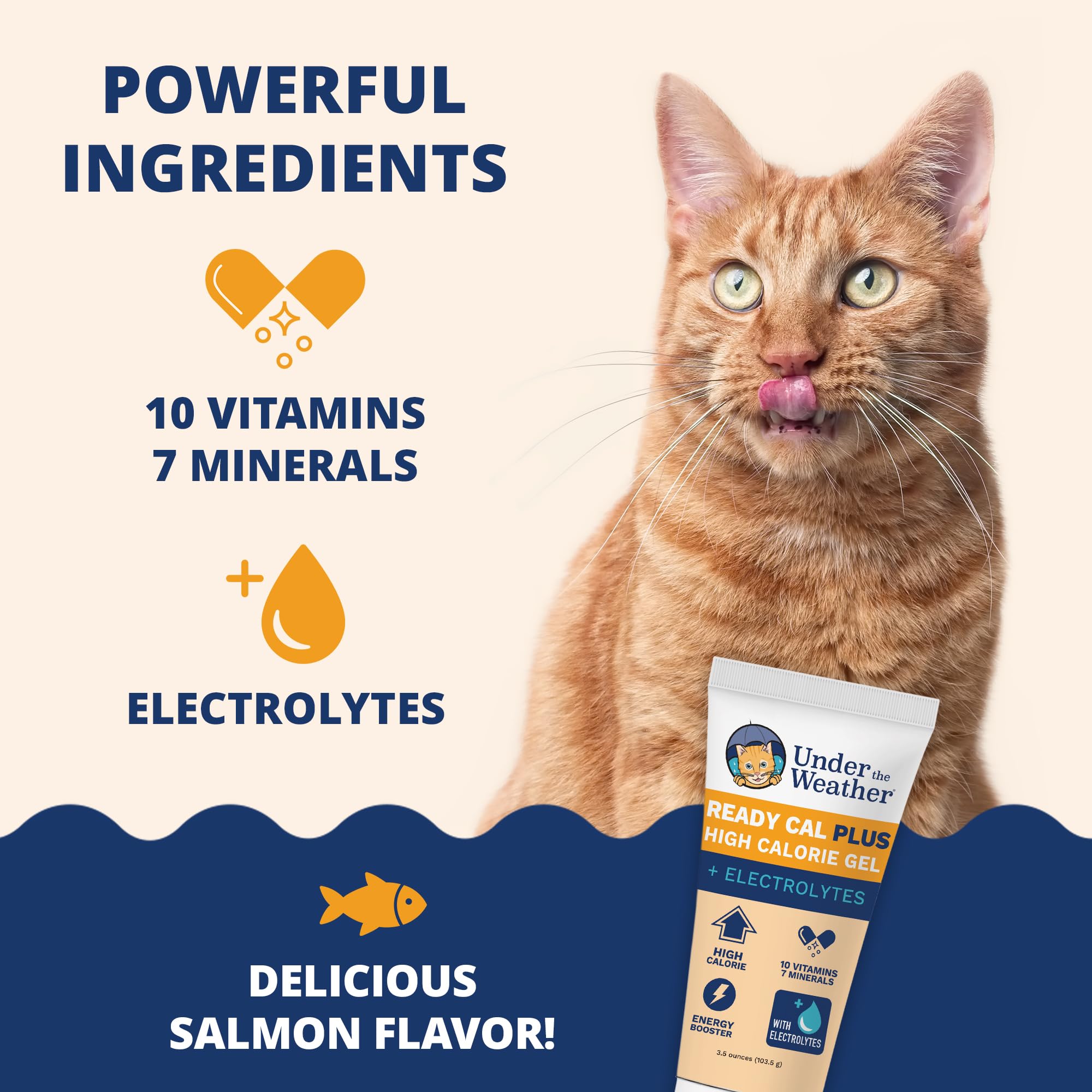 Under the Weather saveur saumon chat : favorise l'appétit.