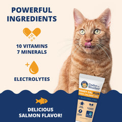Under the Weather saveur saumon chat : favorise l'appétit.