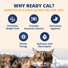 Under the Weather tube 100cc gel chat : administration facile.