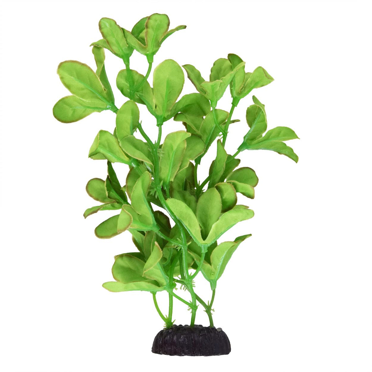 Underwater Treasures Bacopa Monnieri en soie, 8 pouces, décor réaliste et sûr pour aquarium