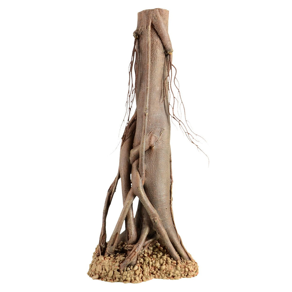 Underwater Treasures racine mangrove grande offre un abri sûr pour petits poissons