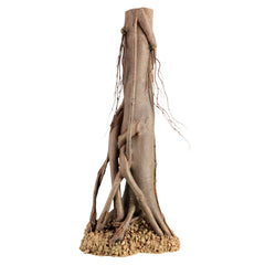 Underwater Treasures racine mangrove grande offre un abri sûr pour petits poissons