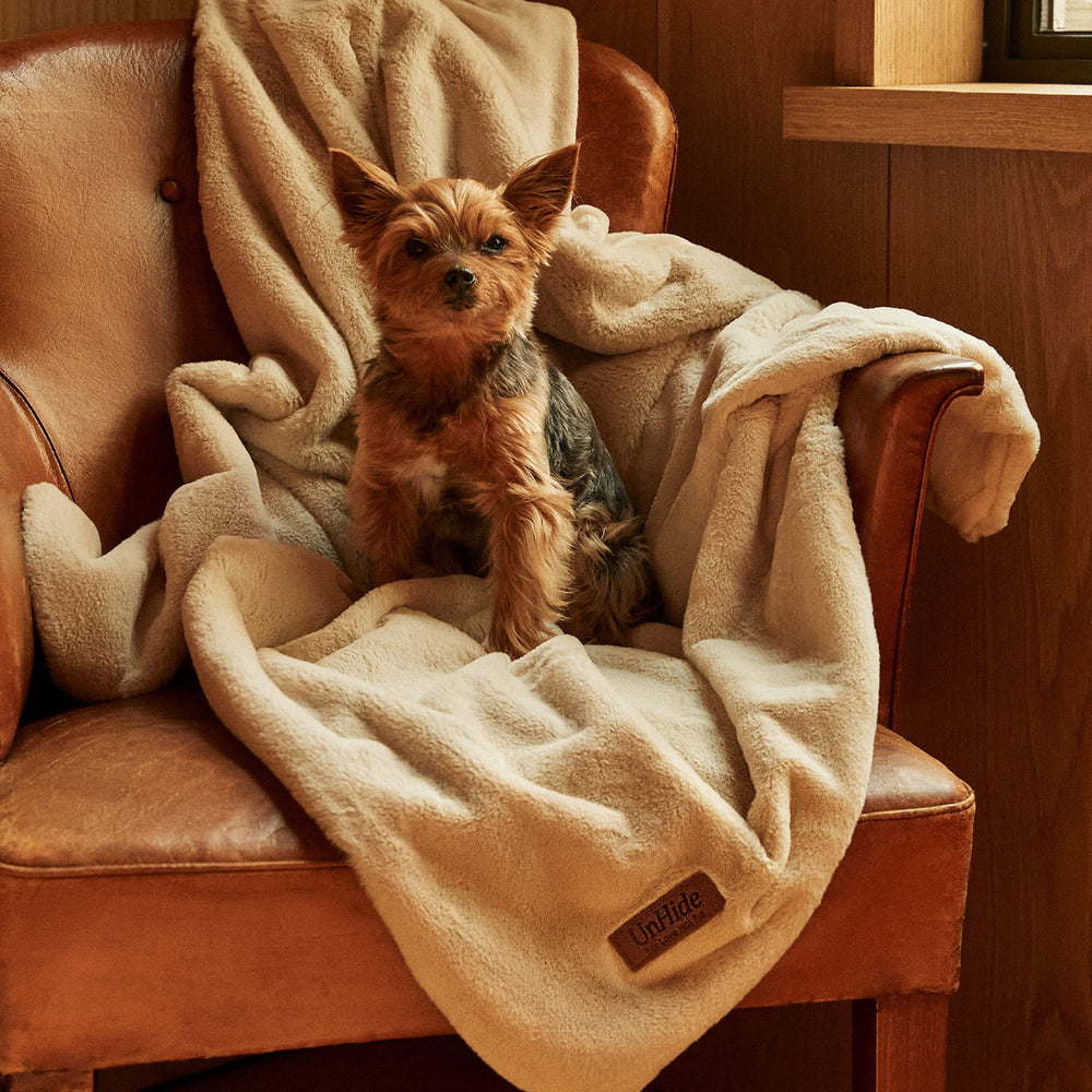 UnHide Lil’ Pet Marsh – couleur neutre qui s’accorde à votre décor.
