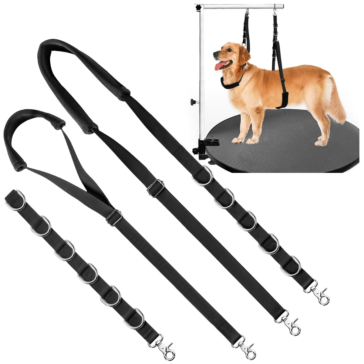 Uni PNR ceinture toilettage chien: confort et stabilité pendant le brossage