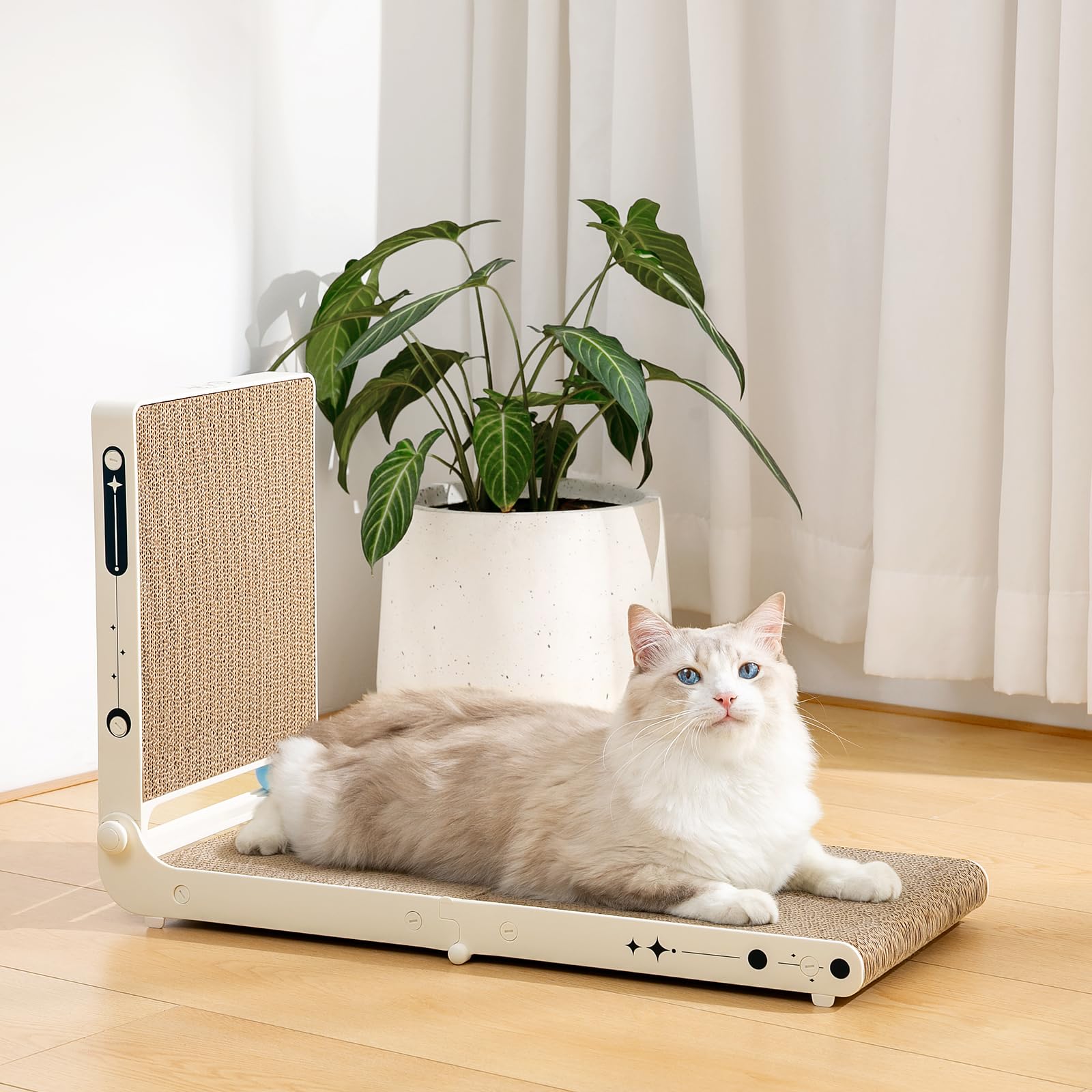 UniBlissy grattoir L-angle avec 3 sachets d herbe à chat inclus