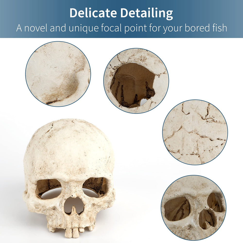 Cachette Uniclife pour aquarium: squelette résine favorise les passages des crevettes.