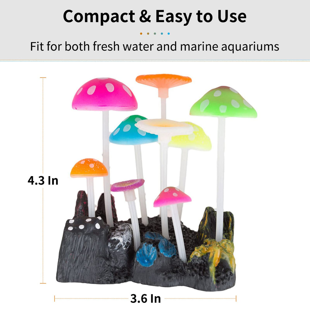 Dimensions environ 9,1 cm par 11 cm pour une compatibilité universelle
