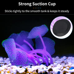 Uniclife corail boule vert, taille 2,4'' x 4'' idéale pour petit aquarium.