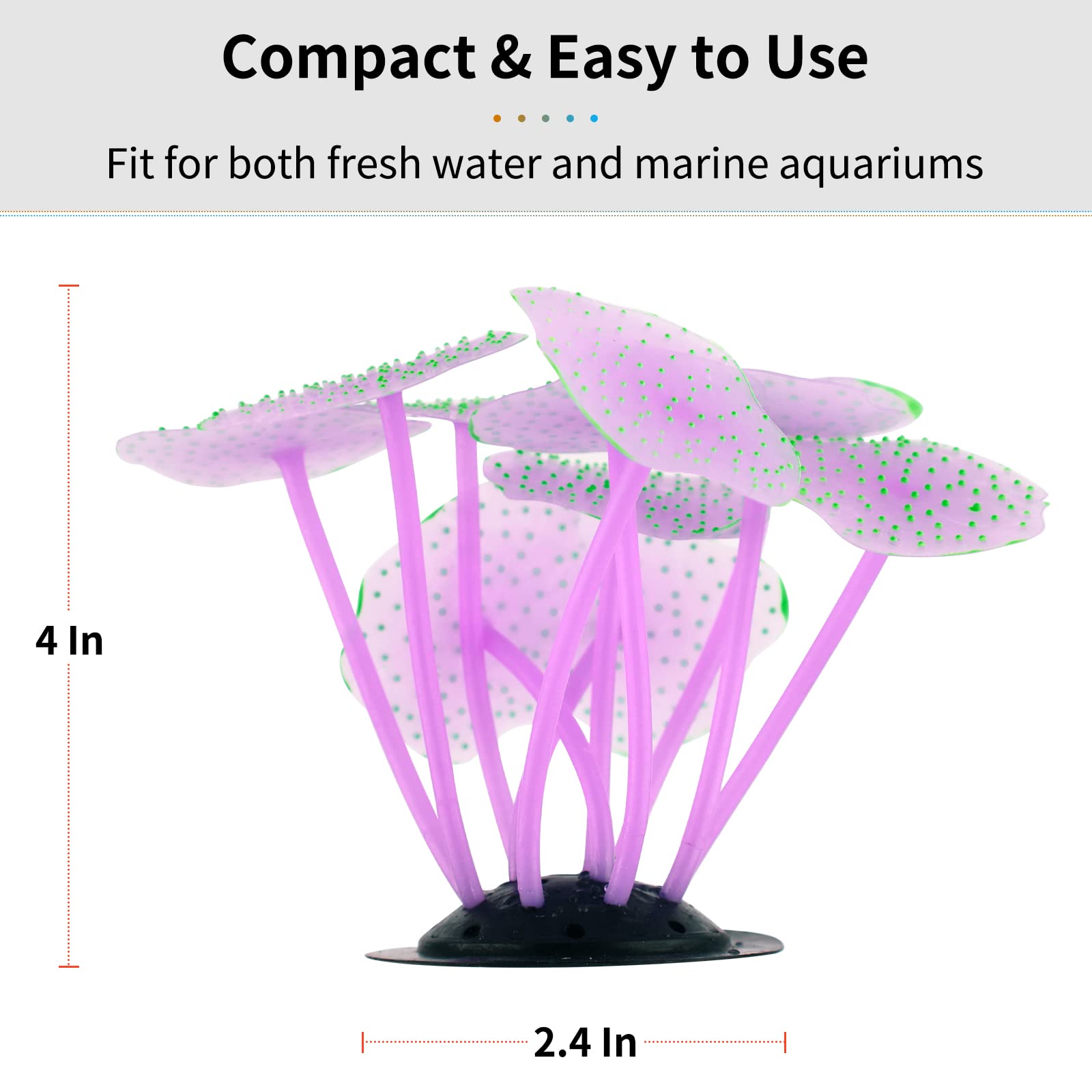 Uniclife corail lumineux sous éclairage actinique, révèle l'effet lumineux.