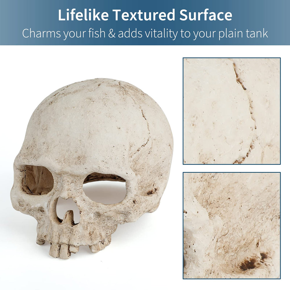Décor Uniclife pour aquarium: squelette résine, point d'intérêt visuel.
