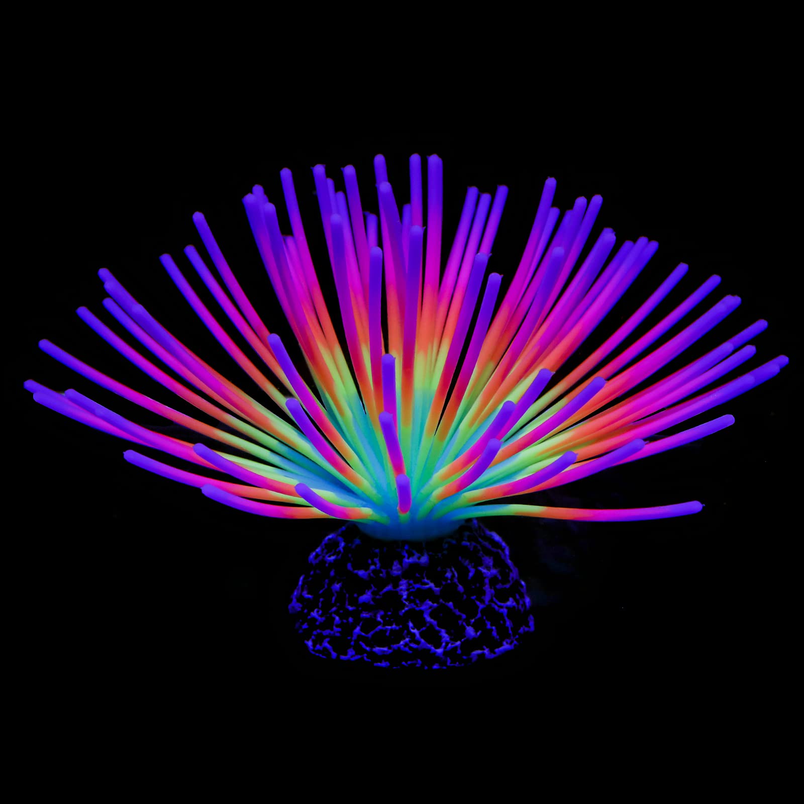 Oursin arc-en-ciel Uniclife dans l'aquarium, décor coloré et réaliste.