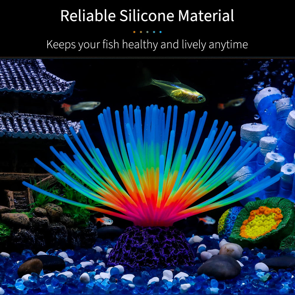 Uniclife oursin-mer-ball bleu-lumineux, mis en valeur sous éclairage actinique.
