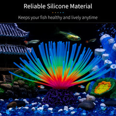 Uniclife oursin-mer-ball bleu-lumineux, mis en valeur sous éclairage actinique.
