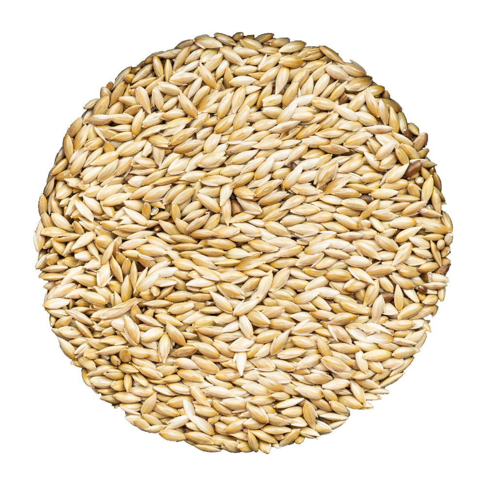 Unida Alpiste Canari: sac de 10 lb, alimentation naturelle pour petits oiseaux.