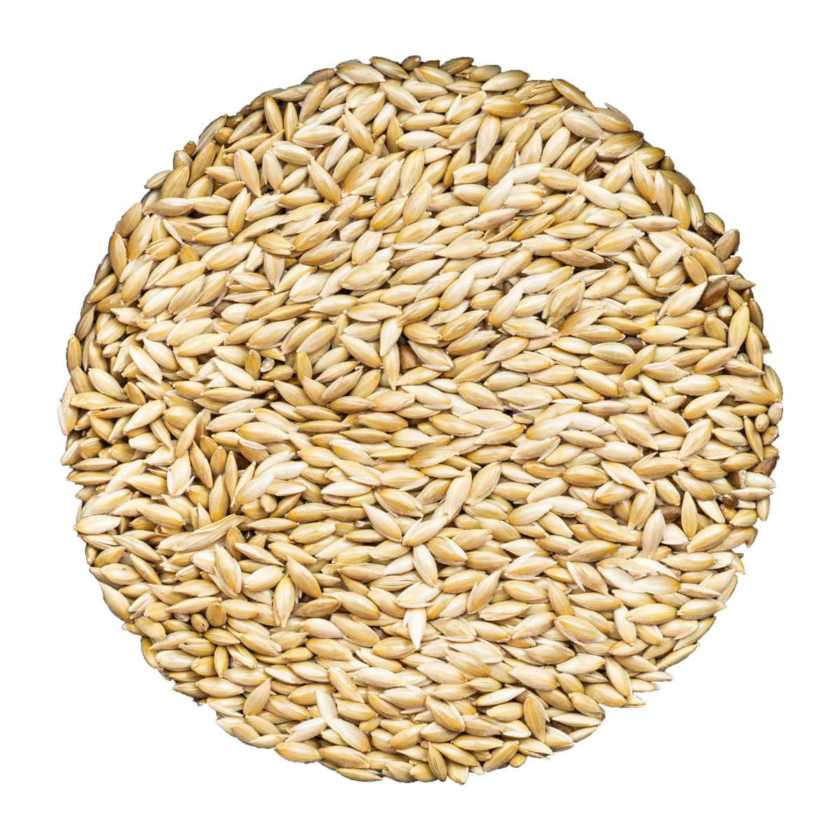 Unida Alpiste Canari: sac de 10 lb, alimentation naturelle pour petits oiseaux.