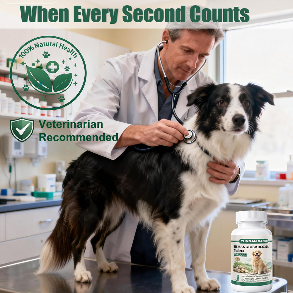 Unikuche Sanqi – soutien post-chirurgie pour chien