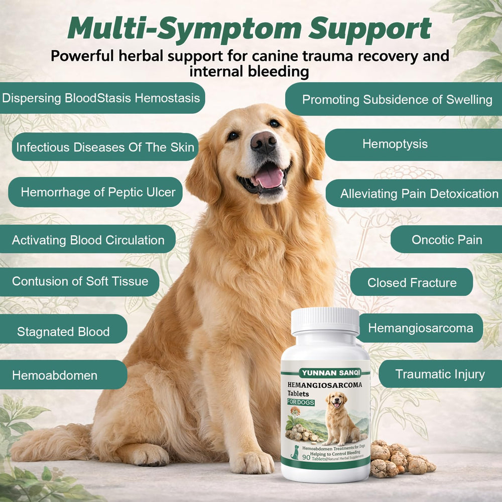 Unikuche Sanqi pour chien – aide en urgence pour hémabdomen potentiel