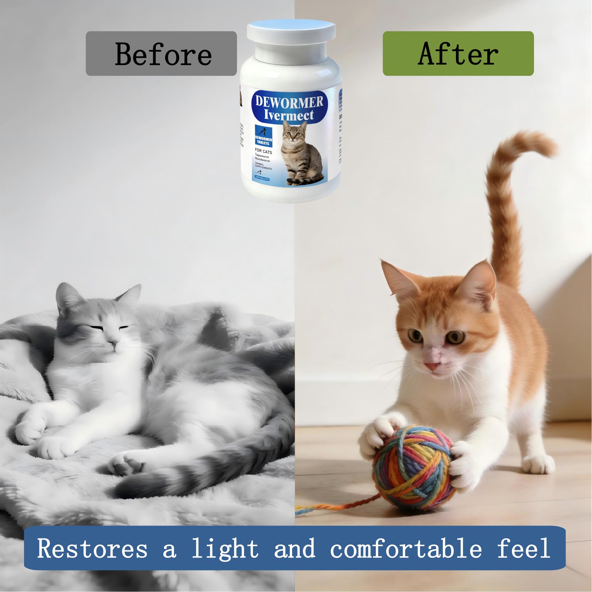 Chat utilisant une tablette Unikuche, routine digestive simplifiée.