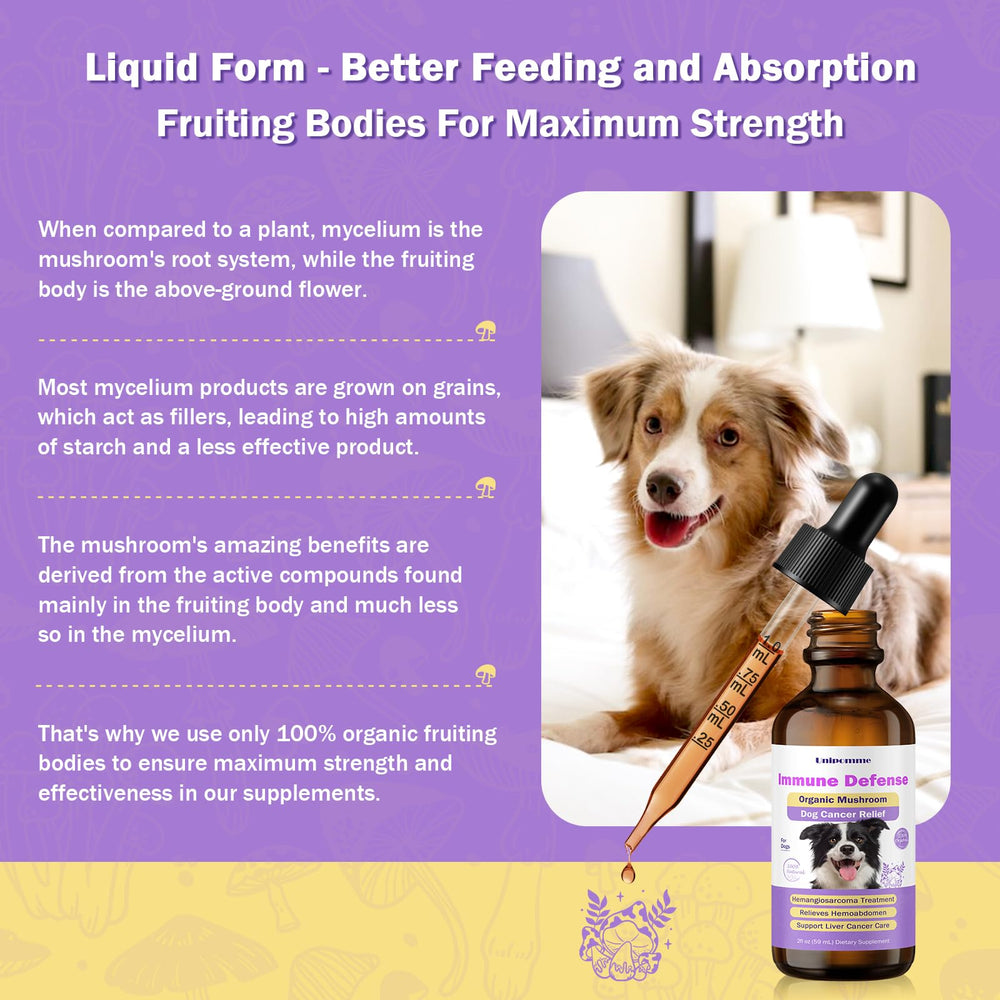 Unipomme-sante-cellulaire: formulation axée sur la vitalité canine.