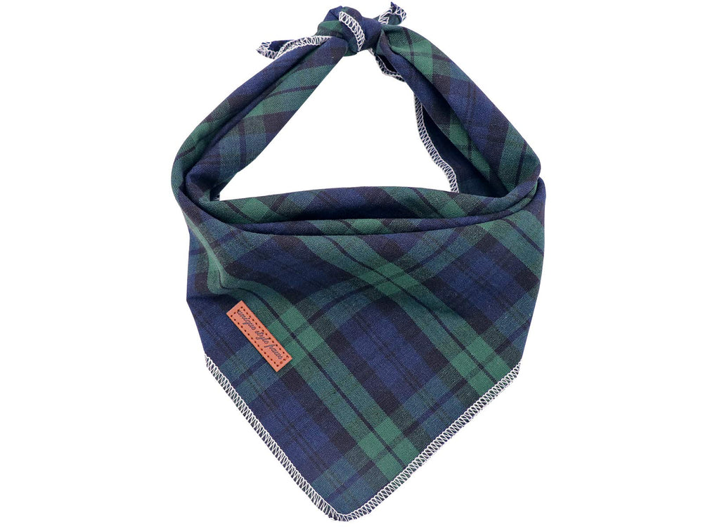 Bandana Unique Style Paws vert carreaux pour chien, look festif et confortable.